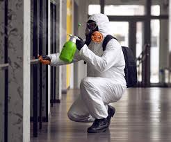 Why You Should Choose Our Mold Remediation Services in Hahira, GA